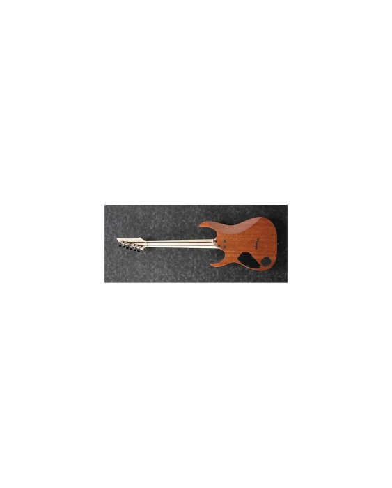 Chitară electrică Ibanez RGR5221TFR Prestige - Ibanez [5]