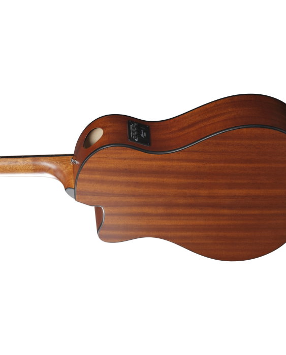 Chitară electro-acustică Ibanez AAM50CE-CRO - Ibanez [7]