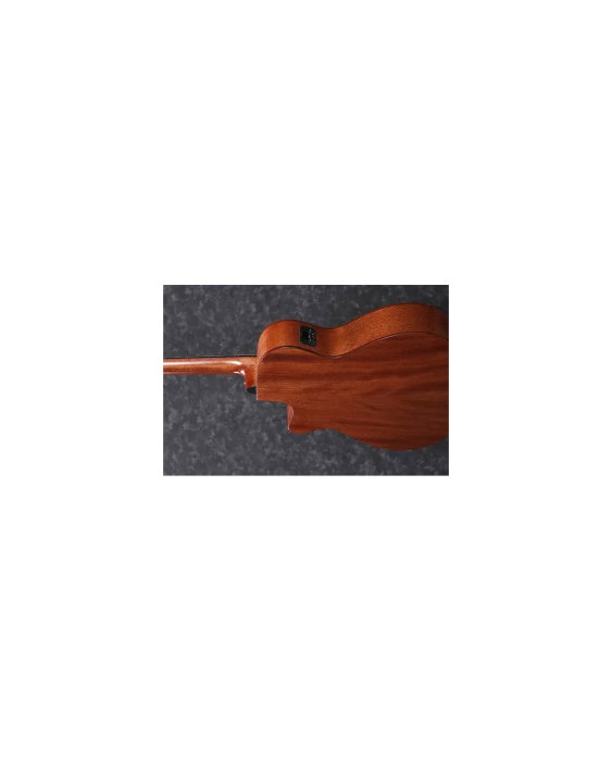 Chitară electro-acustică Ibanez AEG220-LGS - Ibanez [3]