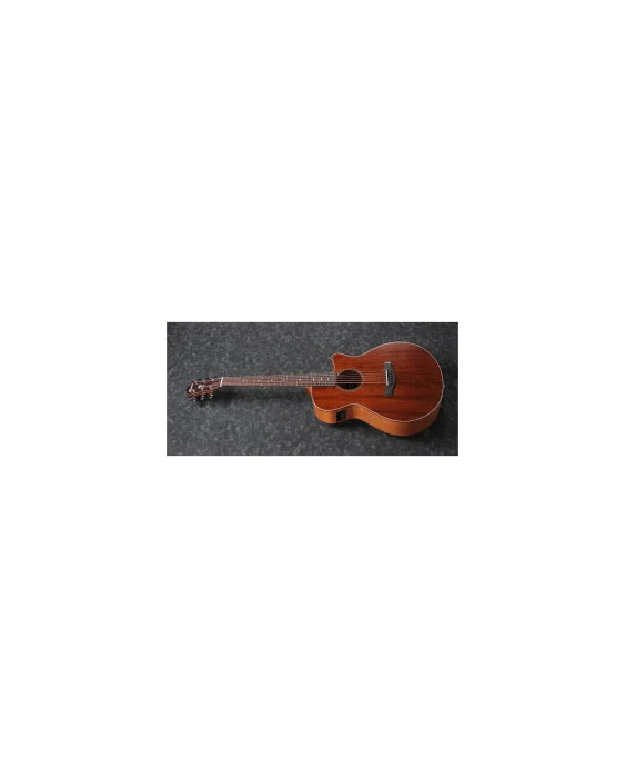 Chitară electro-acustică Ibanez AEG220-LGS - Ibanez [2]