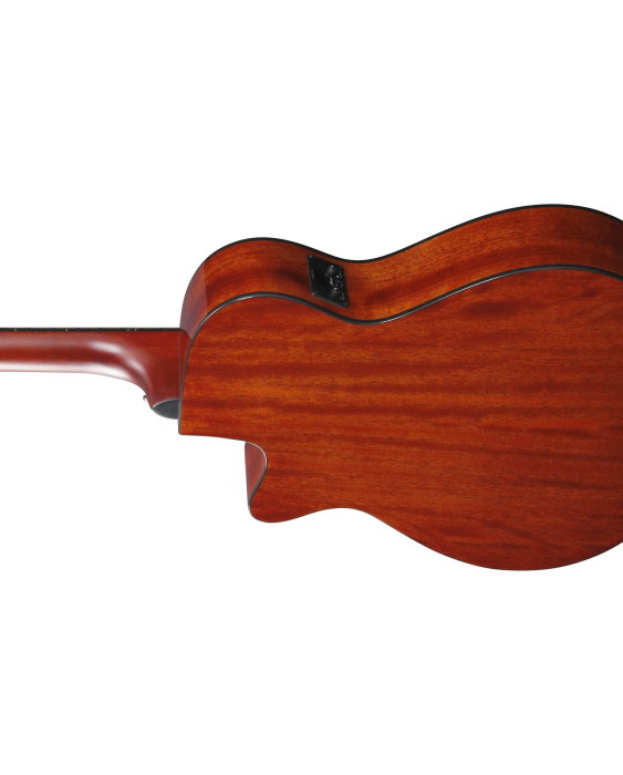 Chitară electro-acustică Ibanez AEG50-IBH - Ibanez [7]