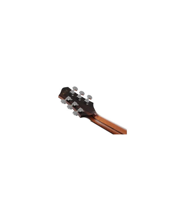 Chitară electro-acustică Ibanez PA300E-NSL - Ibanez [3]