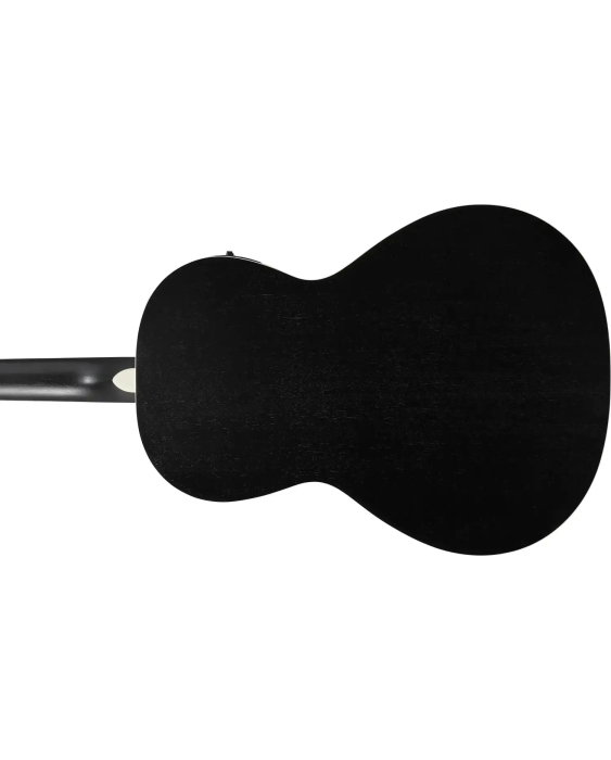 Chitară electro-acustică Ibanez PN14MHCE-WK - Ibanez [5]