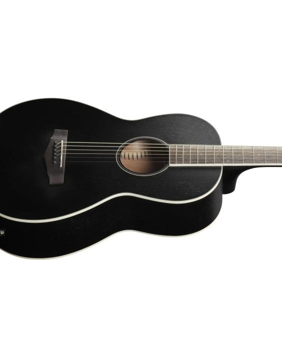 Chitară electro-acustică Ibanez PN14MHCE-WK - Ibanez [6]