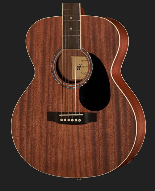 Chitara Harley Benton CG-45 NS [5]