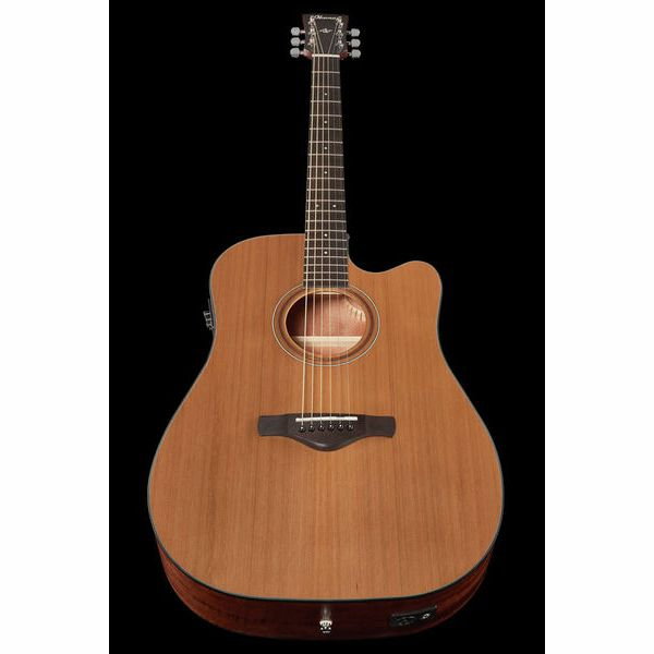 Chitara Ibanez AW65ECE-LG [8]