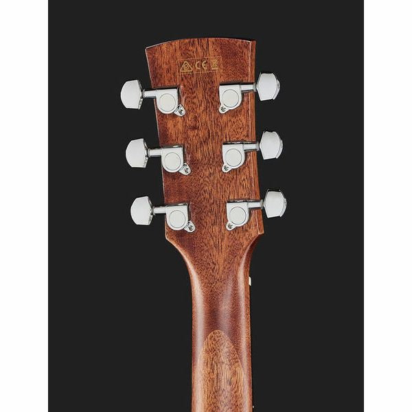 Chitara Ibanez AW65ECE-LG [7]