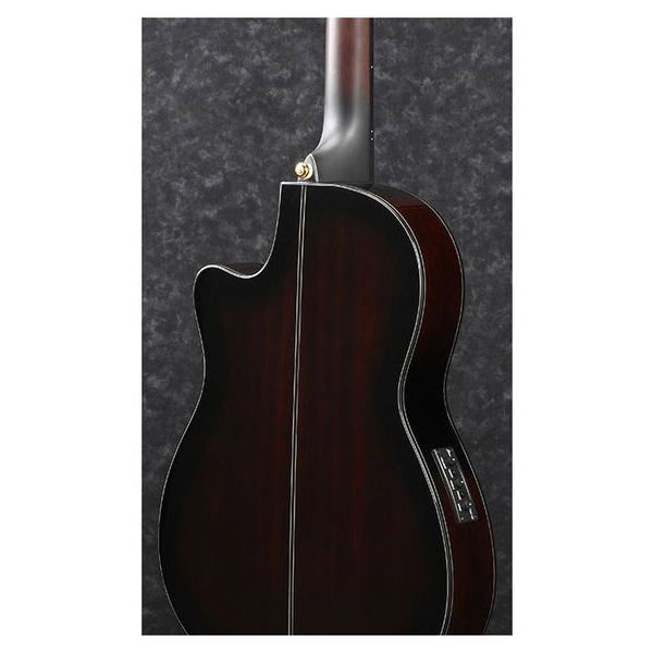 Chitara Ibanez GA35TCE-DVS [3]