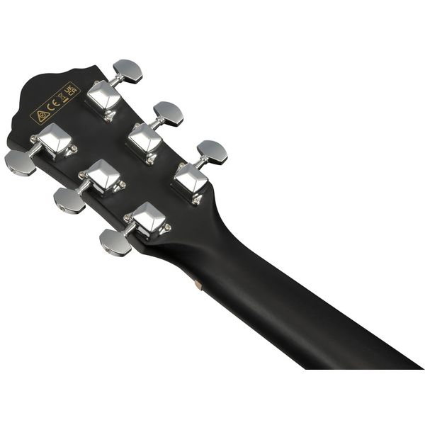 Chitara Ibanez V44CE-WK [7]