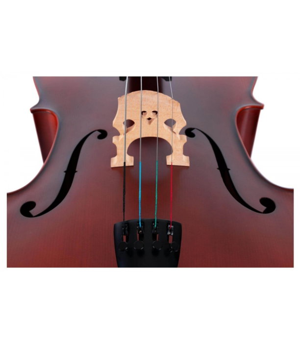 Classic Cantabile Brioso Cello Set 4/4 [5]