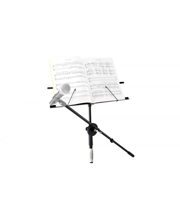 Classic Cantabile NSM-100 [3]