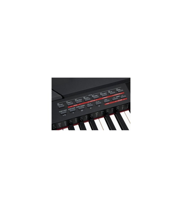 Classic Cantabile SP-250 BK Stage Piano black [2]