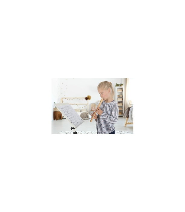 Classic Cantabile Stella Blockflote [3]