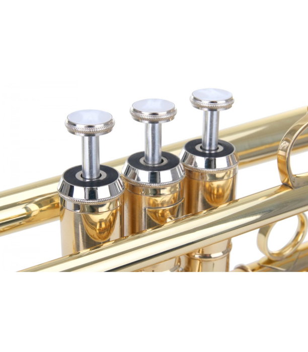 Classic Cantabile TR-30L [4]