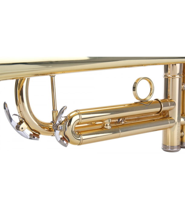 Classic Cantabile TR-30L [3]