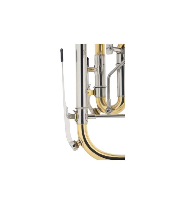 Classic Cantabile TR 43G [6]