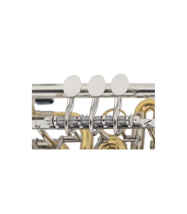 Classic Cantabile TR 43G [7]