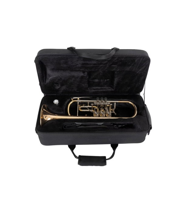 Classic Cantabile TR 43G [10]