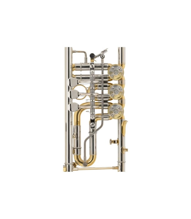 Classic Cantabile TR 43G [5]