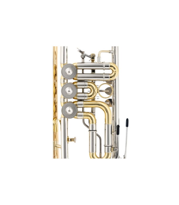 Classic Cantabile TR 43G [4]