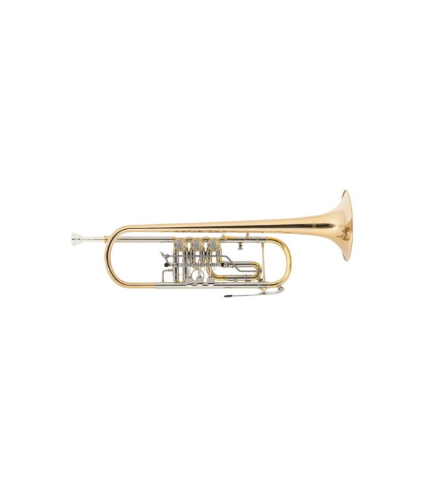 Classic Cantabile TR 43G [3]