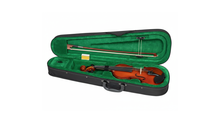 Clifton Vioara 4/4 [2]