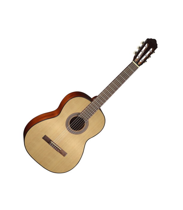Cort AC100-OP [2]