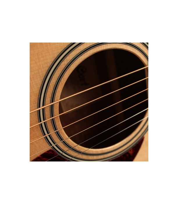 Cort AD810 OP [5]