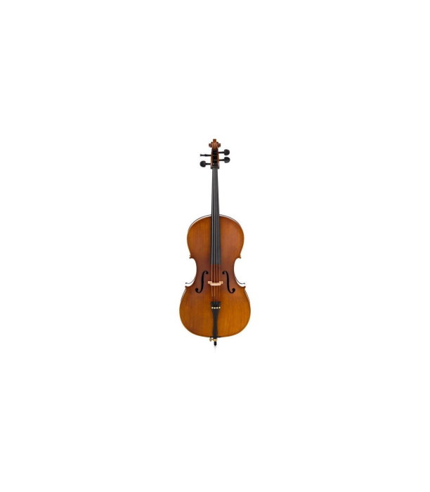 Costa Maestro Cello 4/4 [2]