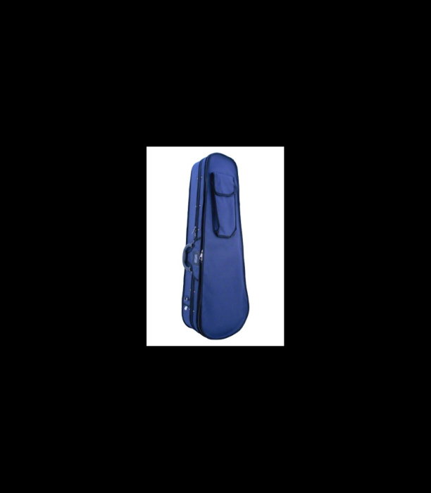 Cutie vioară Stentor 1372 A Violin Case Blue 4/4 - Stentor [2]