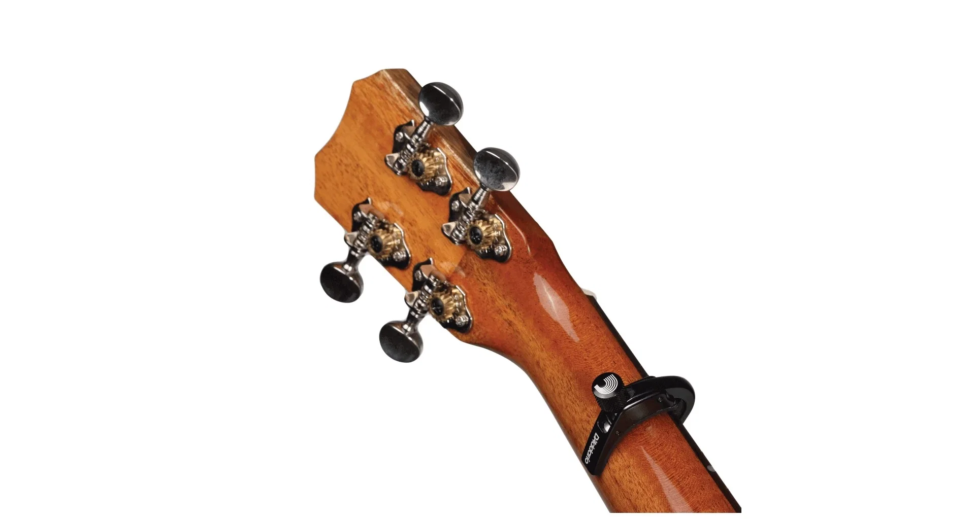 DAddario PW-CP-12 [3]