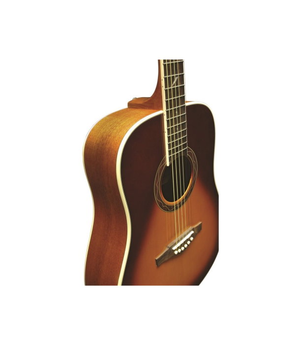 Eko One D Vintage Burst [5]
