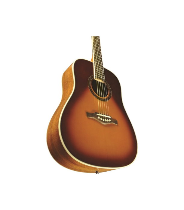 Eko One D Vintage Burst [6]