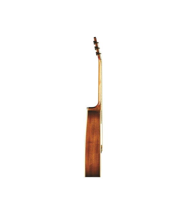Eko One D Vintage Burst [2]