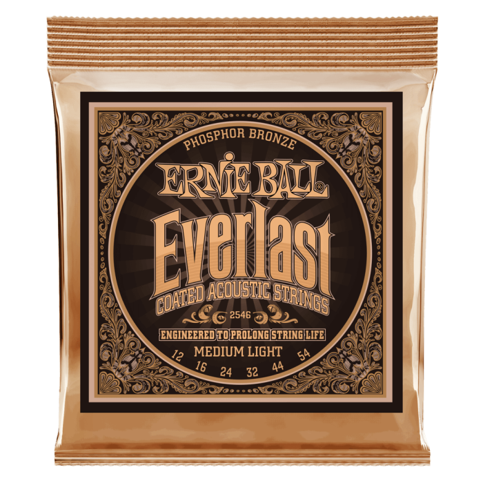 Ernie Ball 2546 Everlast Ph. Bronze 12-54 [1]