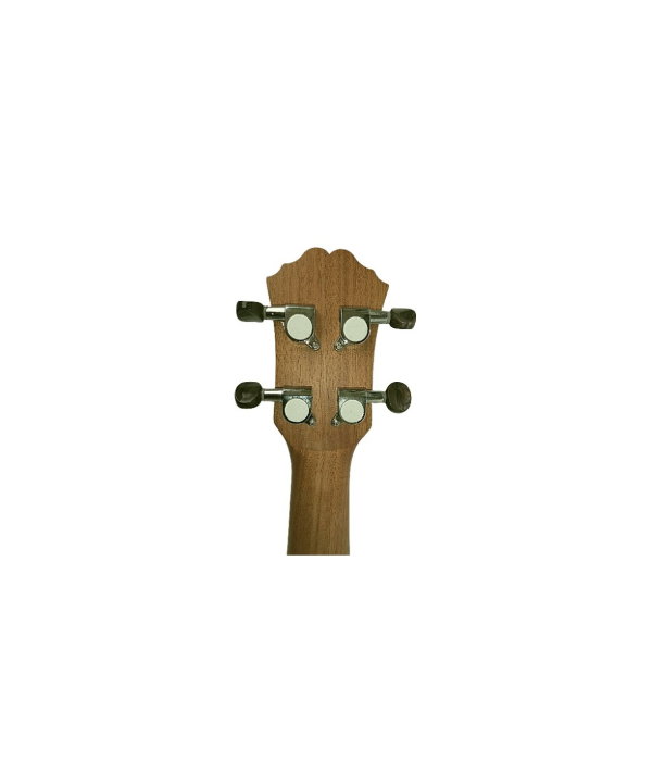F-Zone FZU-07 Tenor [5]