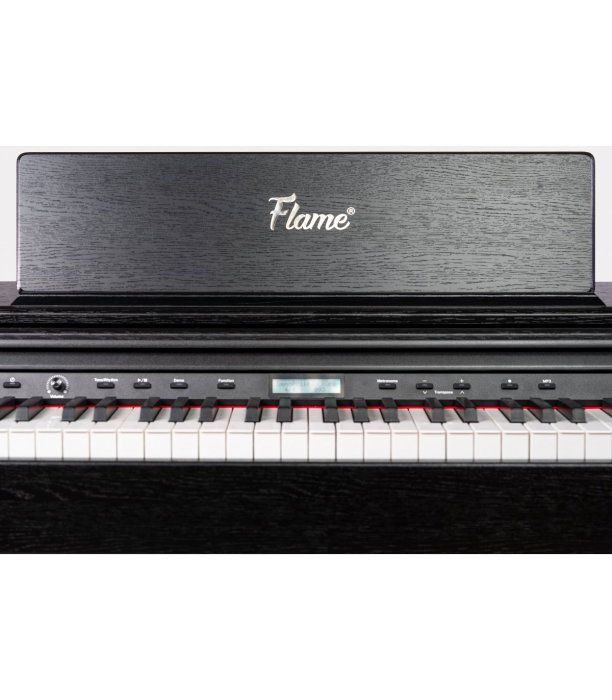 Flame B97 BK [5]