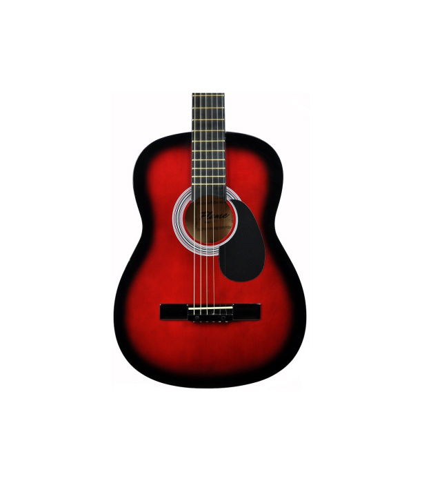 Flame CAG 100 RDS [2]