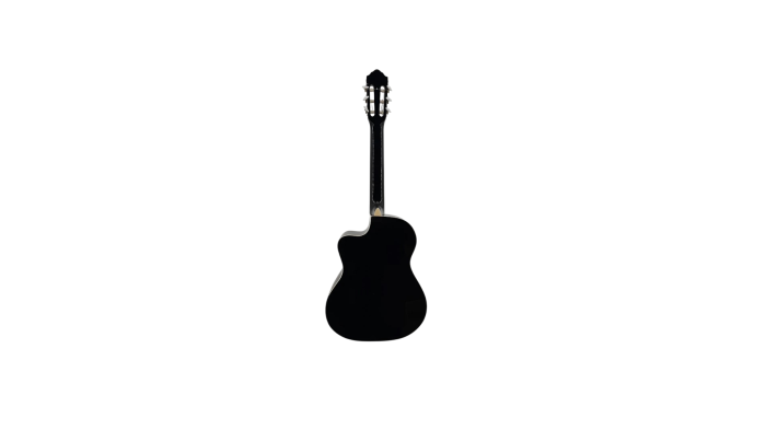 Flame CG100CT BK [4]