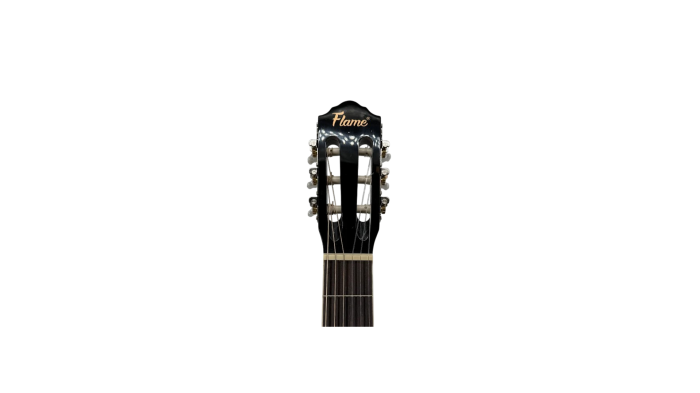 Flame CG100CT BK [5]