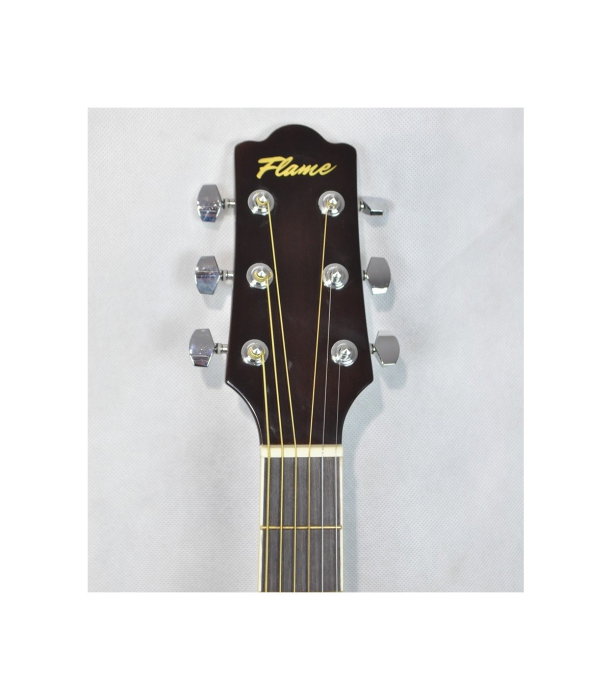 Flame DG 100 CT TS [4]