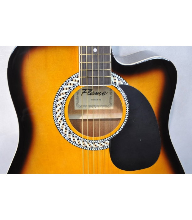 Flame DG 100 CT TS [3]