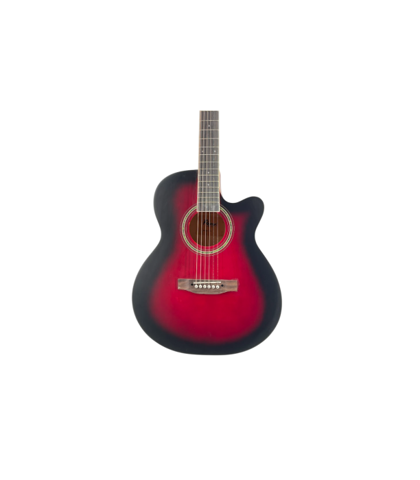 Flame EA10 RDS [2]