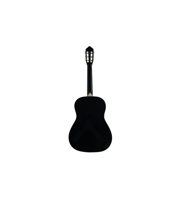 Flame EC3900 BK [4]