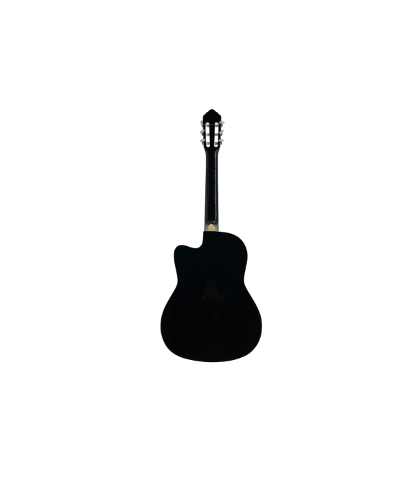 Flame EC3920C BK [4]