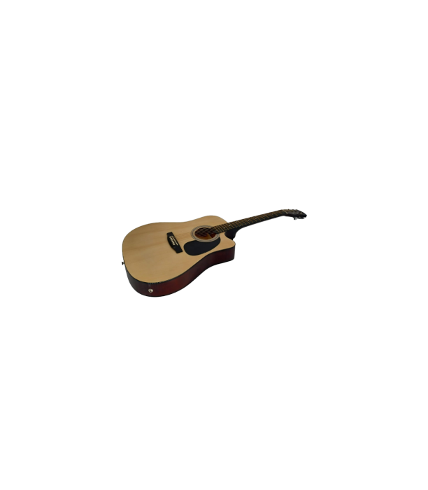 Flame FG229-41 TCEQ Nat [2]