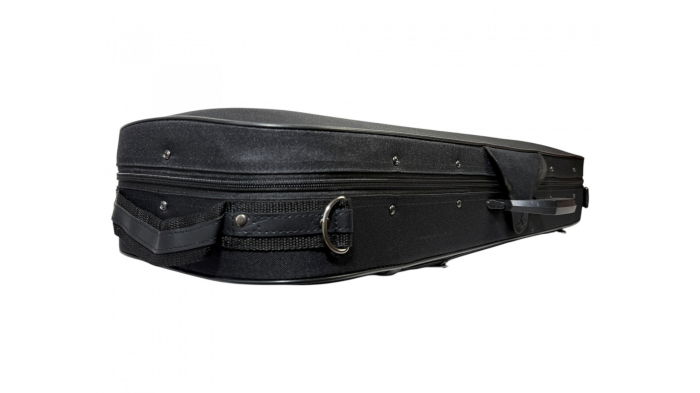 Flame MV300CS Case Vioara 4/4 [6]