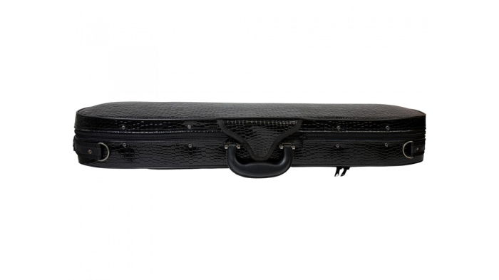 Flame MV400CS Case Vioara 4/4 [2]