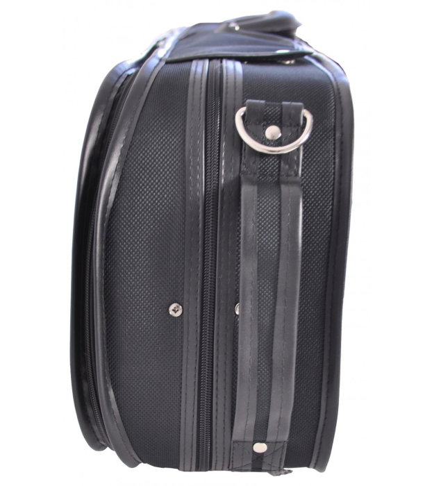 Flame Pro CSV 007 C 4/4 Violin Case [3]
