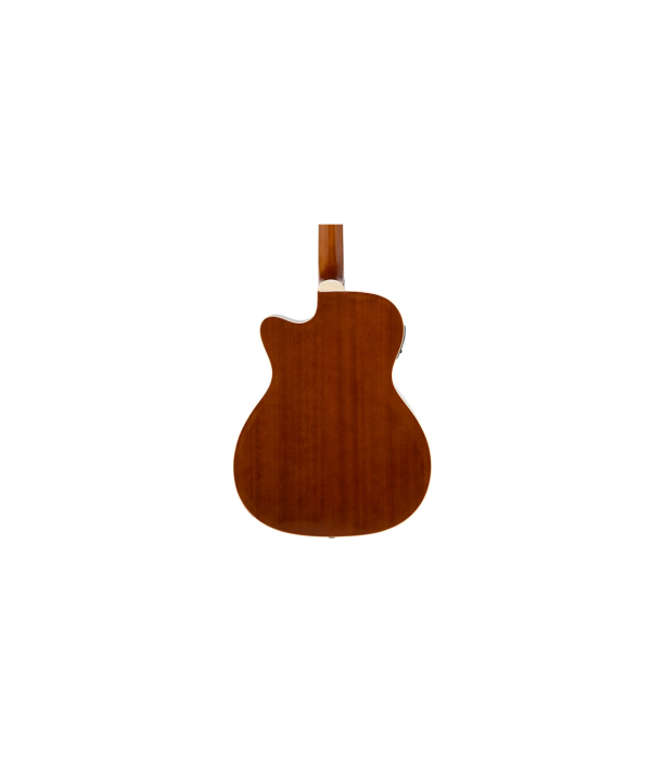Flame Pro D120CE VS [3]